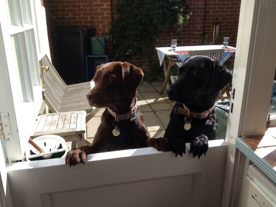 5C12284D-B8BD-425E-9AB6-C9BCC60BF824