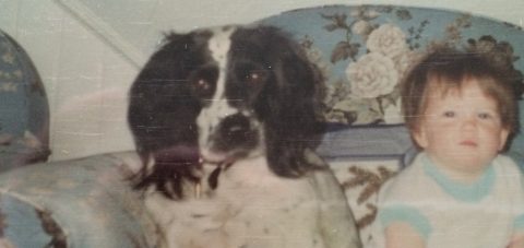 Musings of a middle aged dog walker