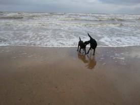 2011-01-30 12.28.43.jpg